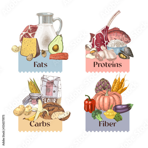 Macronutrients colourful banner design templates.