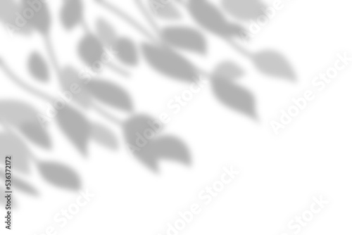 Gray shadow overlay of a branch leaves on a wall. Abstract nature concept with blurred background.