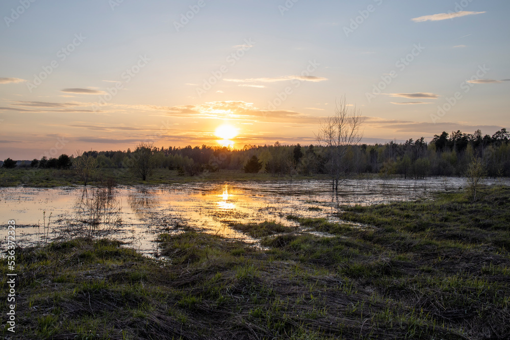 Wetland area. evening landscape, sunset over the swamp. Early spring. Wetland area. evening landscape, sunset over the swamp. Early spring.