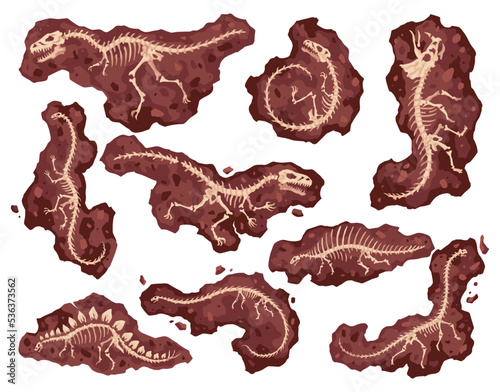 Dinosaur skeleton bones, fossil excavations of archeology isolated set. Collection of prehistoric reptile skeletons lying underground. Cartoon different dinosaur fossils. Paleontological artifacts