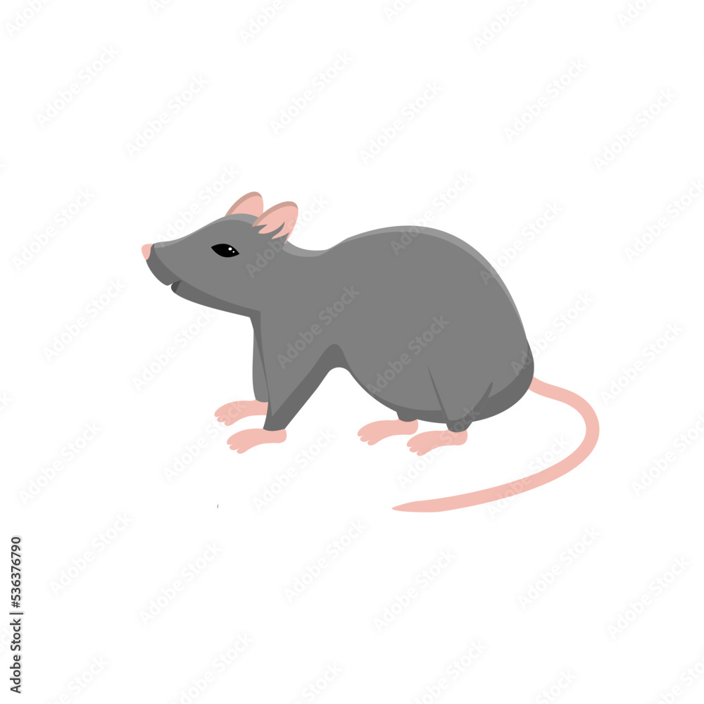 rat animal isolated icon,vector