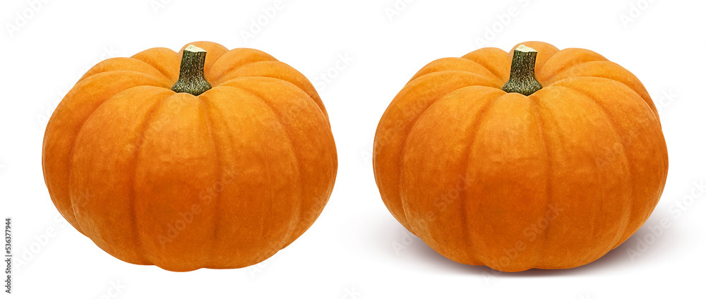 Fototapeta premium ハロウィン カボチャ リアル