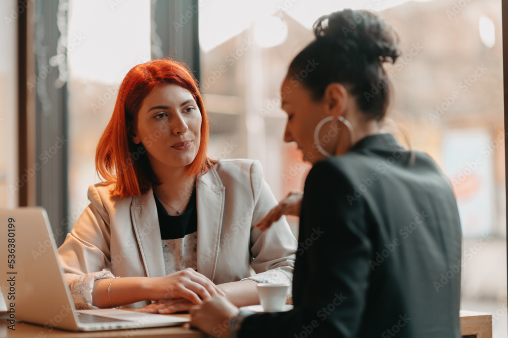 Two young business women sitting at table in cafe. Girl shows colleague information on laptop screen. Girl using smartphone, blogging. Teamwork, business meeting.