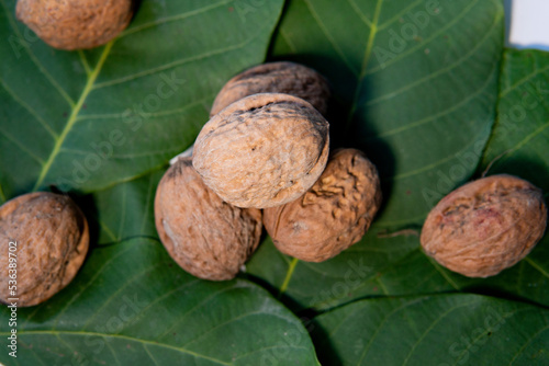 A walnut on a walnut leaf