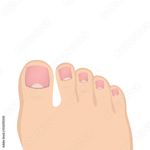 Foot toes on a white background. Mock up for pedicure. Female leg with nails. Vector illustration