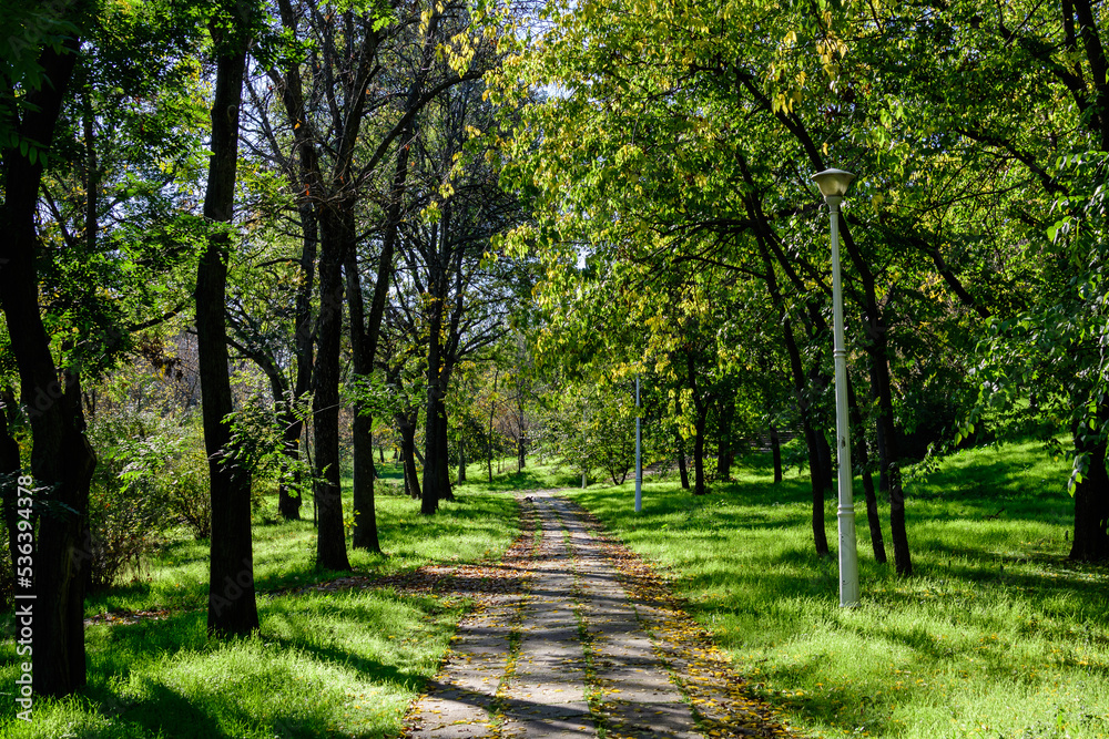 Landscape with the hidden alley surrounded by vivid green and yellow trees, plants trees and grass in a sunny autumn day in Parcul Tineretului (Tineretului Park) in Bucharest, Romania . Landscape with the hidden alley surrounded by vivid green and yellow trees, plants trees and grass in a sunny autumn day in Parcul Tineretului (Tineretului Park) in Bucharest, Romania .