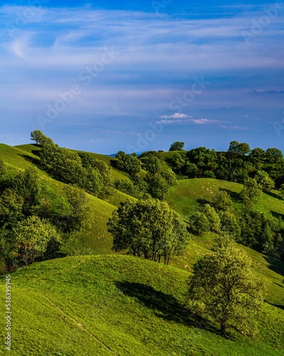 Amazing shot of oak trees and Zagajica hills in Serbia photo