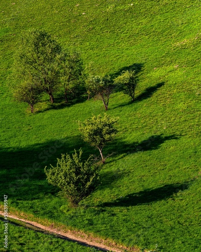 Amazing shot of oak trees in Zagajica hills in Serbia photo