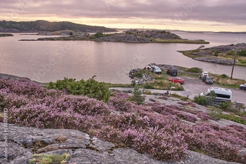 Beautiful landscape of flowers and lakes from the hill on the sunset, Kladesholmen, Norway photo