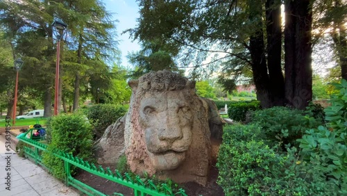 The famous Lion statue in Ifran, Morocco photo