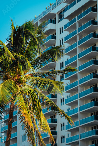 palm trees marina apartments life in Miami Beach florida balcony windows   © Alberto GV PHOTOGRAP