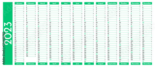 Green simple linear calendar yearly planner template for 2023 with vertical month grid. Wall calender in a minimalist style. Monthly cycle planner. Agenda organizer. Vector illustration