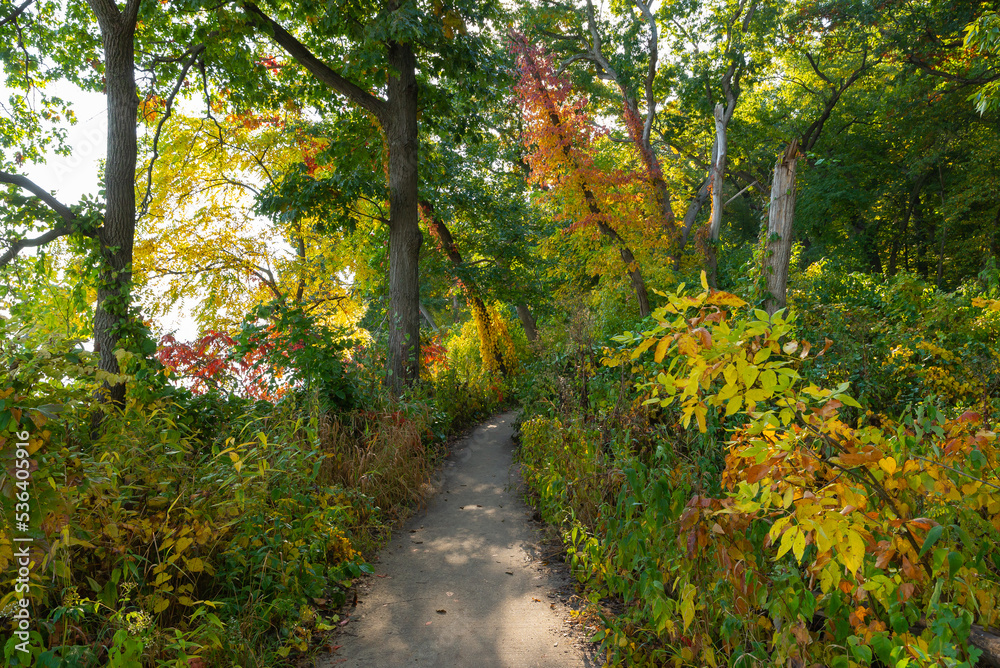 Fototapeta premium Hiking trail