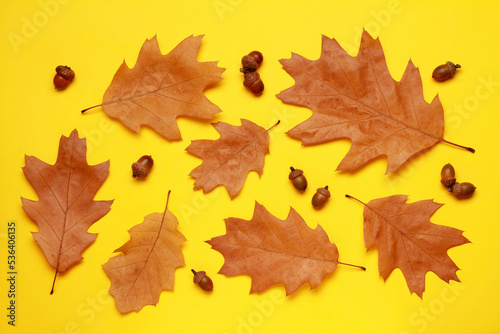 Creative leaf layout  composition of fallen orange autumn leaves acorn on yellow background. Natural foliage. Fall concept. Autumn mood. Top view. Flat lay.