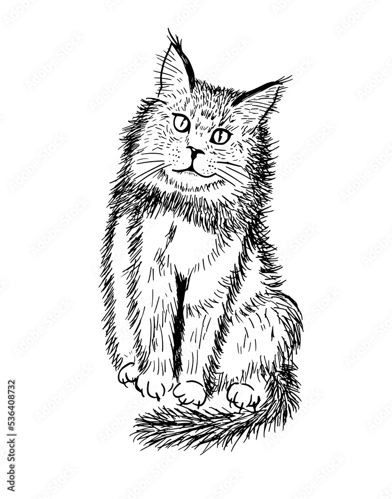 Obraz premium Cat sketch hatching. Vector illustration