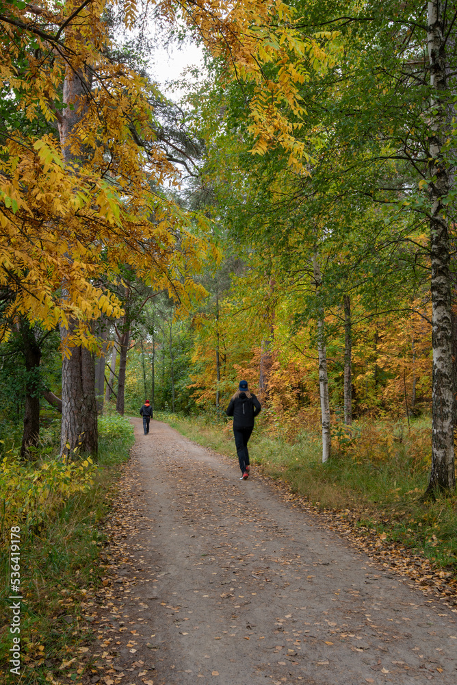 Unrecognized people walking and hiking  in the forest in Autumn season. Kuopio Finland