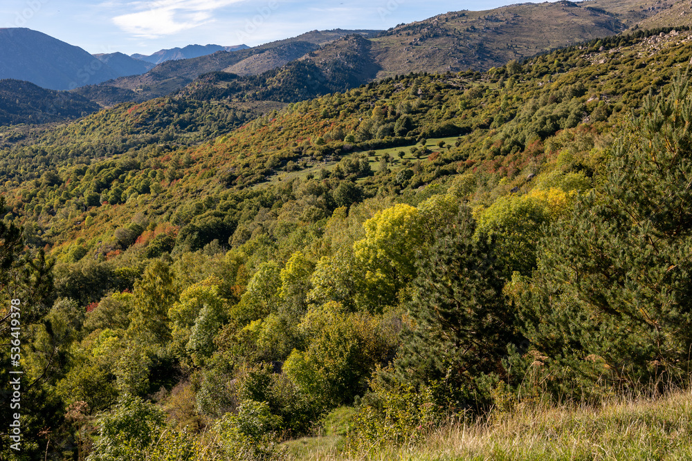Fototapeta premium landscape in the mountains