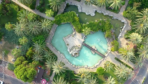 Fountain in the green palm trees photo