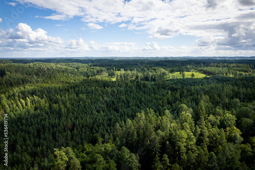 Drone aerial shot of green pine forests and spring birch groves with beautiful texture of golden treetops. Sunrise in springtime. Sun rays breaking through trees in mountains in golden time