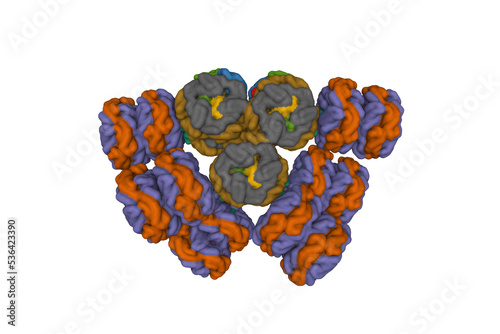 Cryo-EM structure of cyanobacterial phycobilisome from Synechococcus sp. PCC 7002. 3D Gaussian surface model, entity id color scheme, PDB 7ext photo