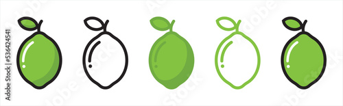 Lime citrus fruit icon symbol signs, vector illustration