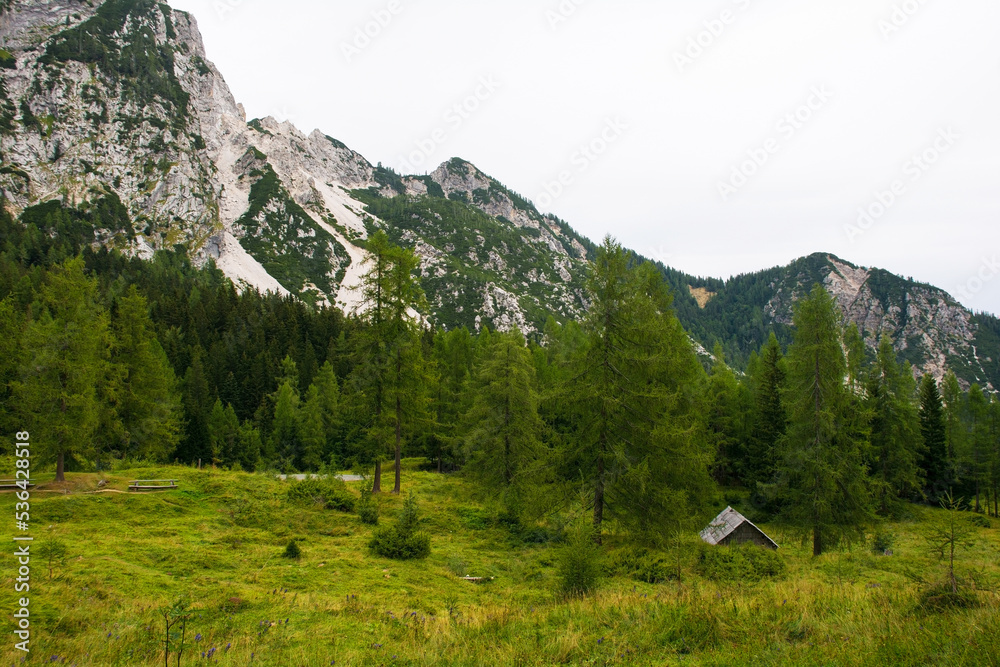The Alpine landscape near Prisank in the Julian Alps, north west Slovenia
