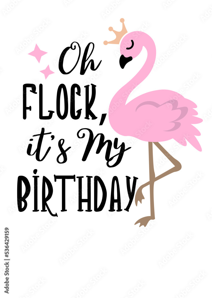 Oh flock, it's my birthday quote. Pink flamingo print. Transparent