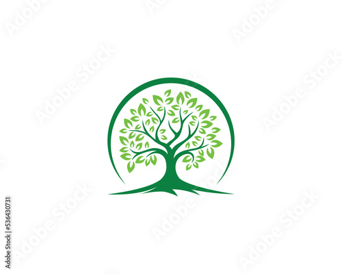 Tree with Green leaves Logo Design. Round Shape Vector Tree Icon Design Concept Vector Illustration.