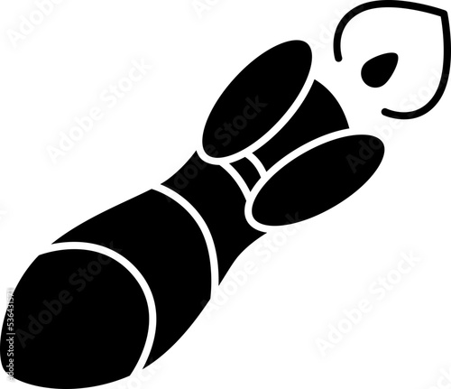 rocket  icon