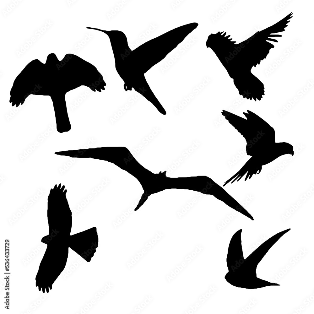 Fototapeta premium silhouettes of birds