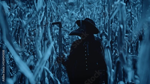 Plague doctor gothic woman with sharp scythe at night in thickets of corn field. Creepy raven mask, halloween, historical terrible protection costume, death concept