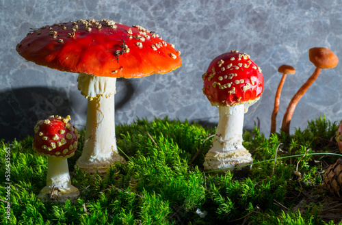 Canvas Print red fly agaric on green moss