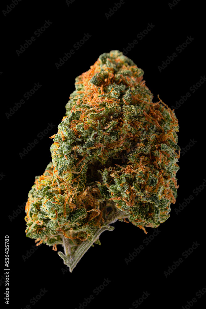 Close up dried cannabis buds, Weed buds, weed flowers with sativa, indica, hybrid strain