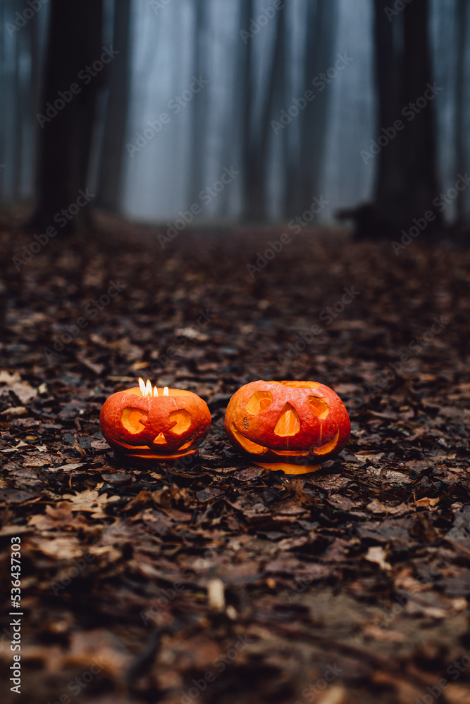 Two smiling Halloween Pumpkins on a forest with lights In a heads. Two smiling Halloween Pumpkins on a forest with lights In a heads.