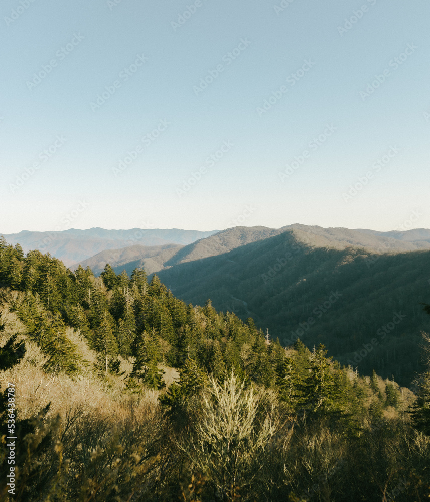 Obraz premium Newfound Gap 