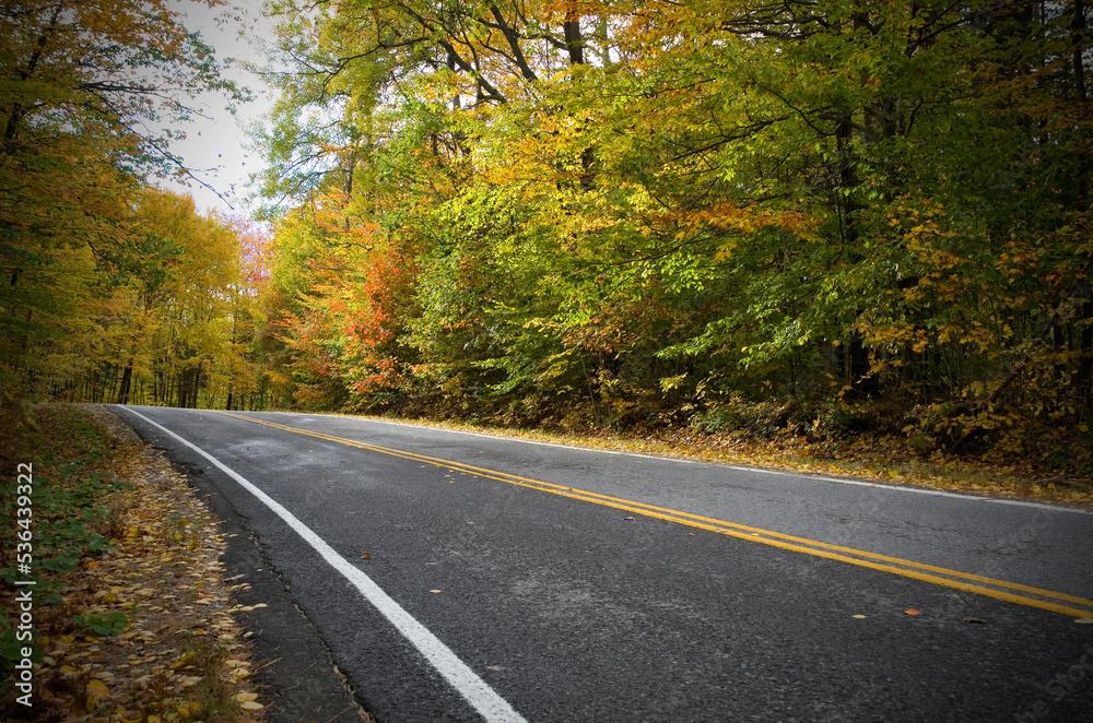 Horizontal View of Country Road during Autumn