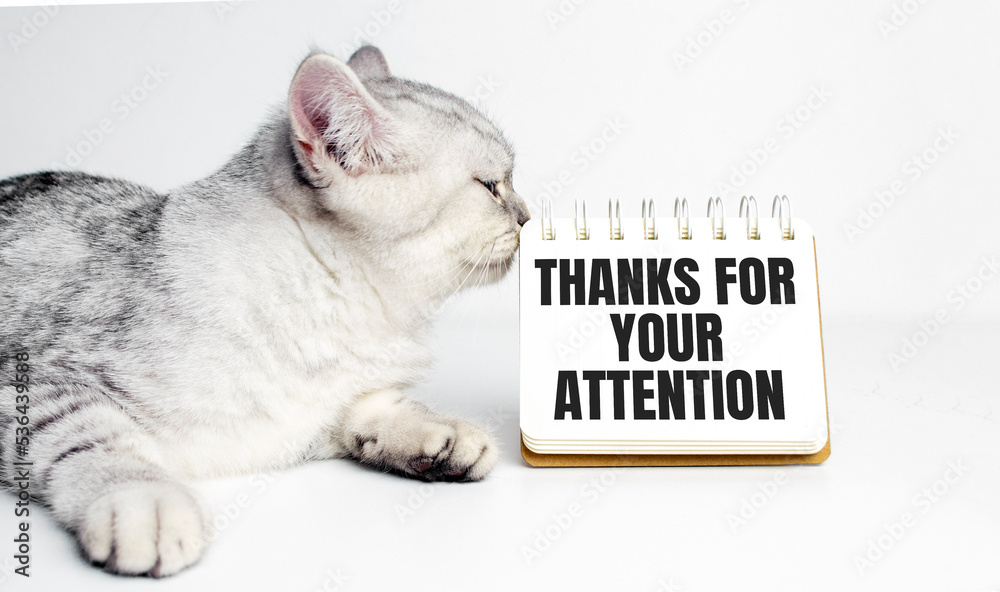 Thank You For Your Attention On Notebook And Grey Cat Stock Photo thank-you-for-your-attention-on-notebook-and-grey-cat-stock-photo