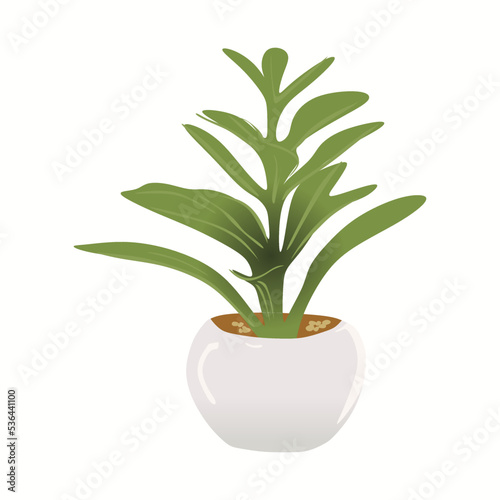 Succulent Plant Artificial in White Ceramic Pots, Mini Cactus vector illustration in trendy flat cartoon style, isolated on white background. for Home Decoration. Suitable for many purposes.