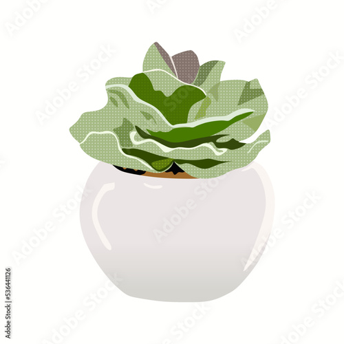 Mini Cactus  Succulent Plant Artificial in White Ceramic Pots  vector illustration in trendy flat cartoon style  isolated on white background. for Home Decoration. Suitable for many purposes.