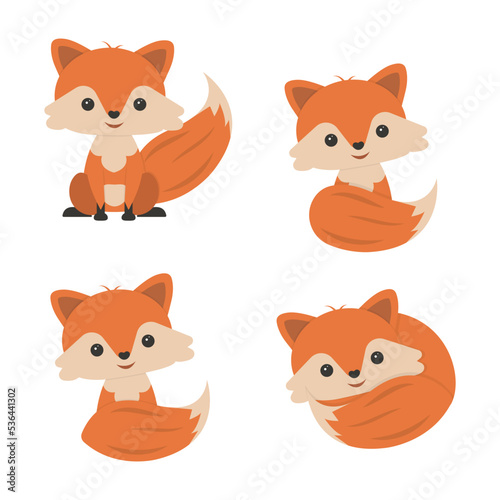 set of cute fox cubs on a white background