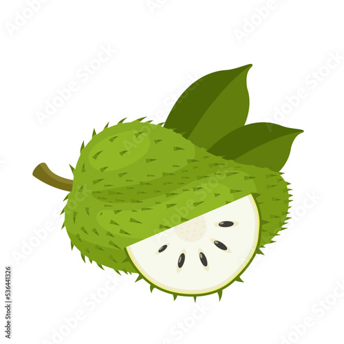 Vector illustration, soursop fruit, also called graviola, guyabano or Annona muricata, isolated on white background. photo