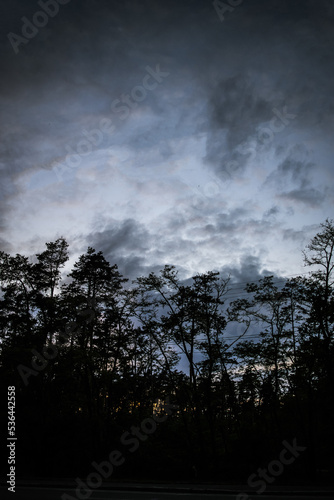 evening landscape silhouette of trees and stormy low sky