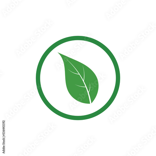 Logos of green Tree leaf ecology nature element vector