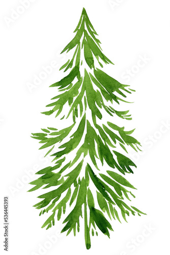 Watercolor Christmas tree isolated on white background