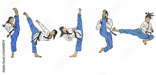 taekwondo vector llustration © irvan