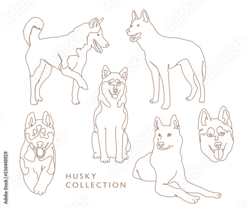 Husky Collection - Vector Illustrations - Outline 