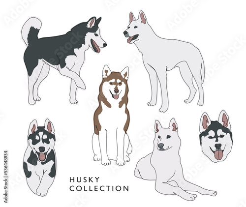 Husky Collection - Vector Illustrations - Color