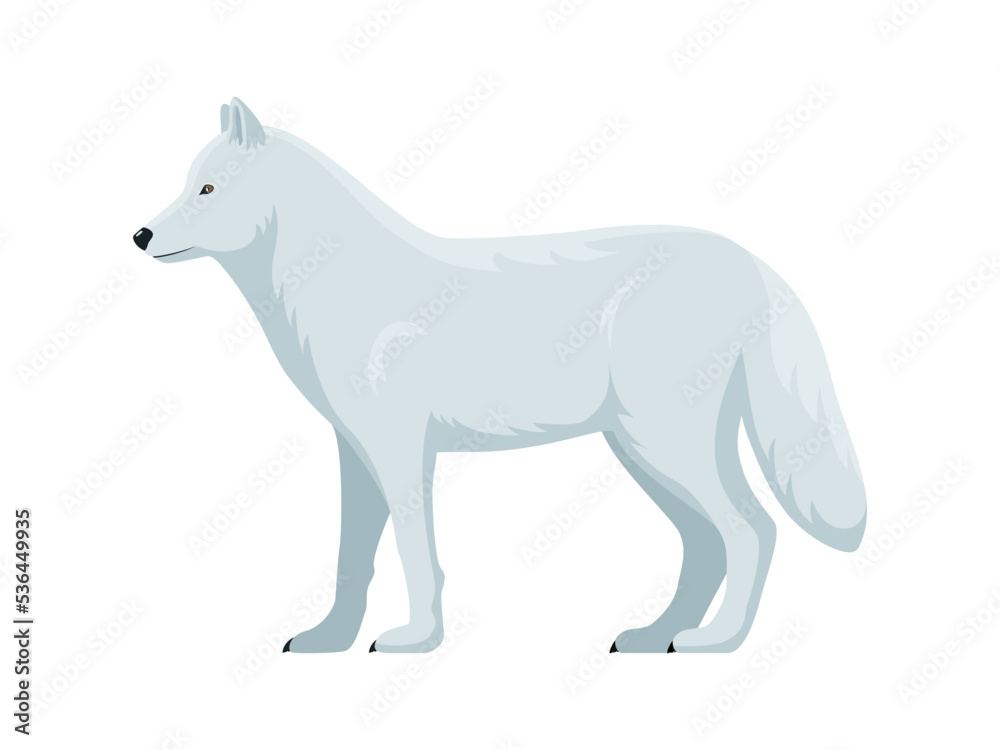 Vector arctic wolf