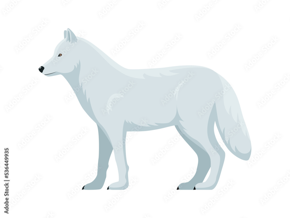 Fototapeta premium Vector arctic wolf
