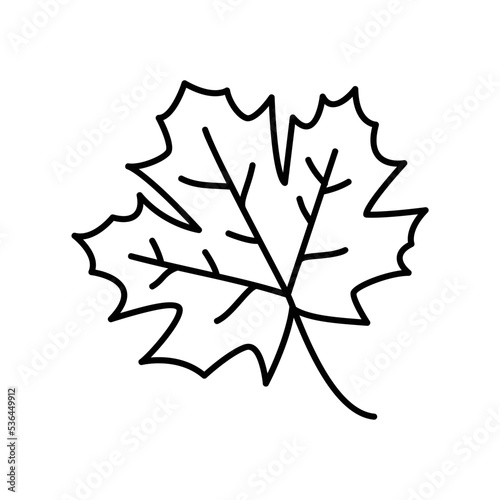 Maple leaf icon for autumn season in black outline style